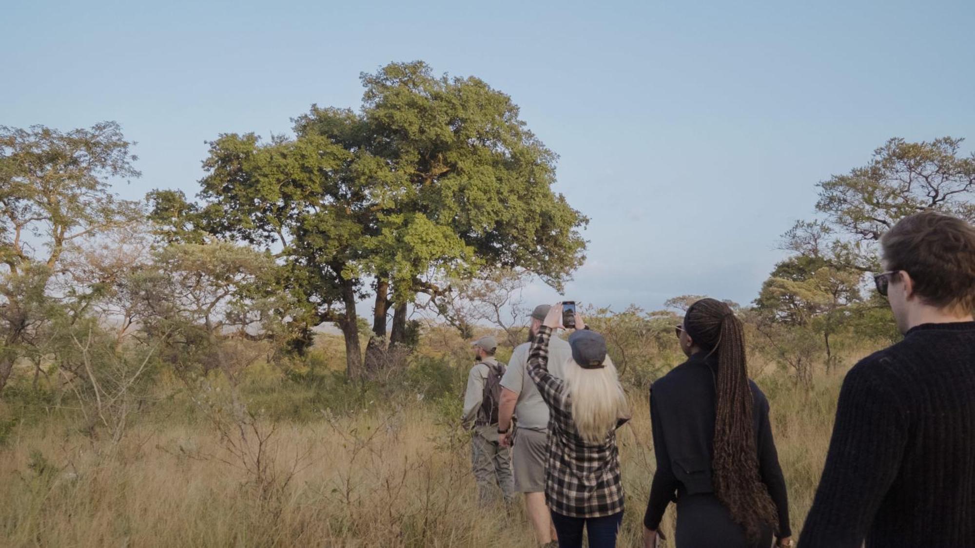 Mdluli Safari Hazyview